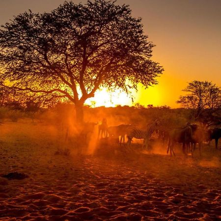 Bagatelle Kalahari Boutique Farmhouse Lodge Mariental Exterior photo