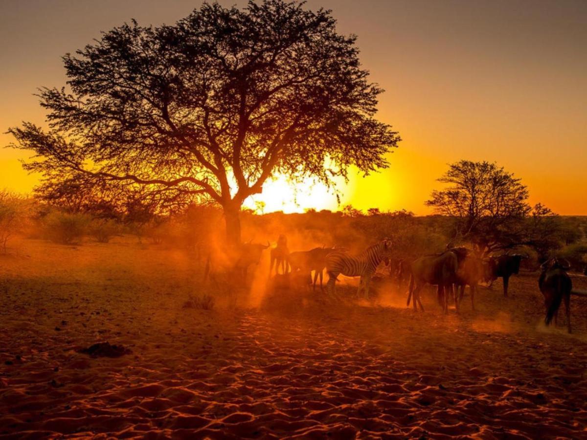 Bagatelle Kalahari Boutique Farmhouse Lodge Mariental Exterior photo